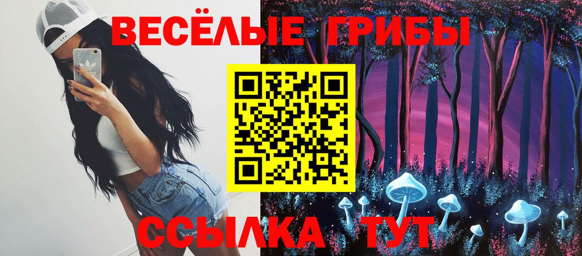 хочу наркоту  Псилоцибиновые грибы MAGIC MUSHROOMS  Псилоцибиновые грибы Magic Shrooms  Вход с VPN  Владивосток 